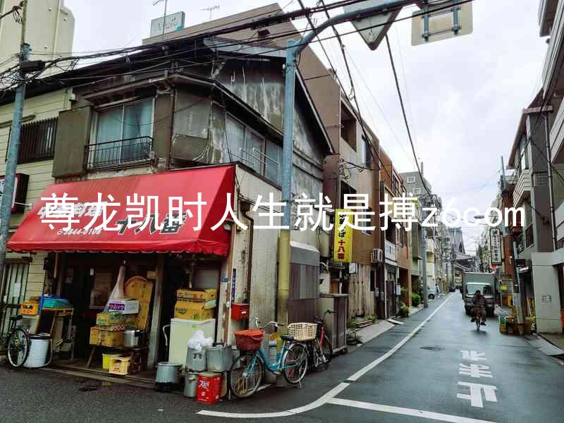 尊龙凯时人生就是搏z6com