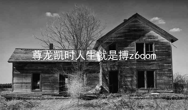 尊龙凯时人生就是搏z6com