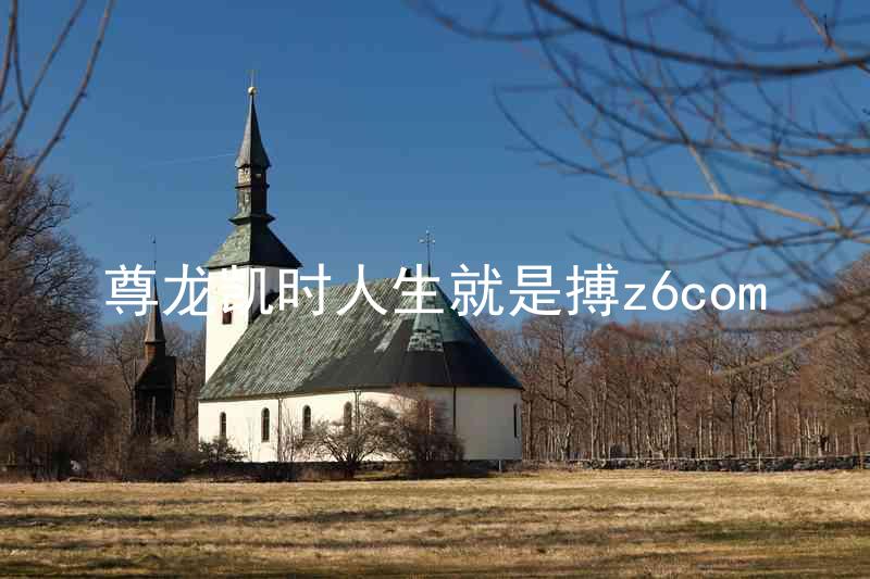 尊龙凯时人生就是搏z6com