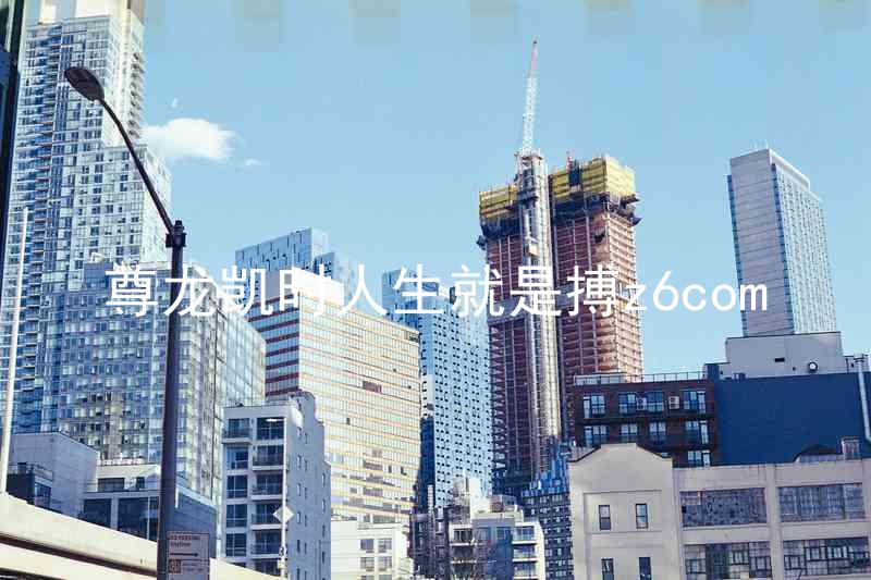 尊龙凯时人生就是搏z6com