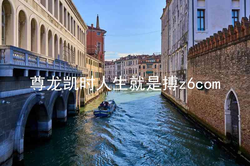 尊龙凯时人生就是搏z6com