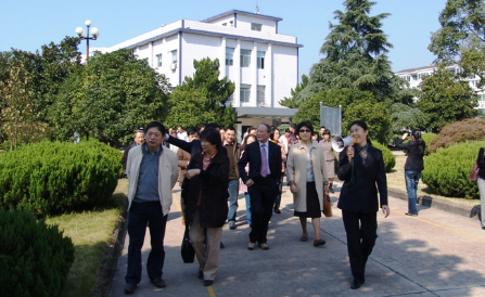 �������ǲ���(�й���)�ٷ���վ